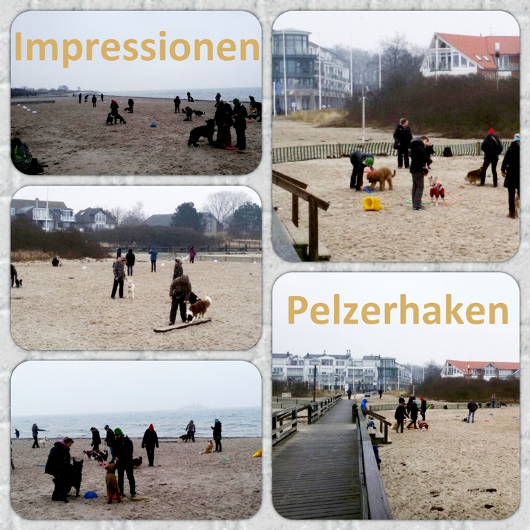 Dogdance am Strand in Pelzerhaken